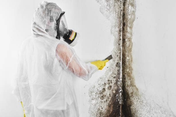 Best Mold Testing  in Mentone, IN