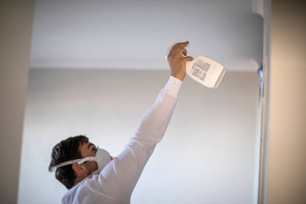 Best Emergency Mold Removal  in Mentone, IN