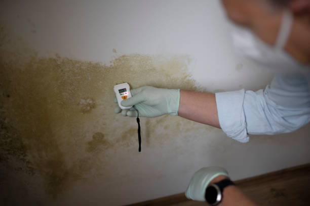 Mold Removal and Inspection in Mentone, IN