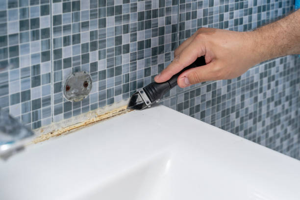 Best Black Mold Removal  in Mentone, IN