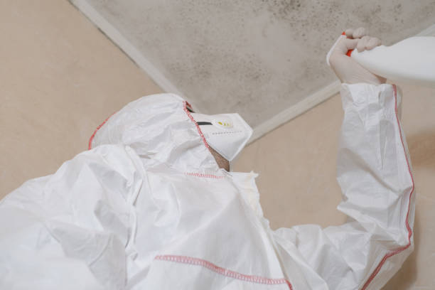 Best Fast Mold Removal  in Mentone, IN